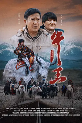 国产熊片