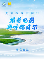 不是你的