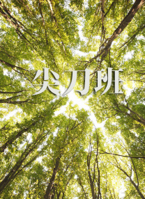 恋夜秀