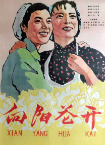 女大学生的生活