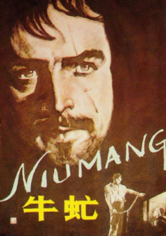 女护士与院长